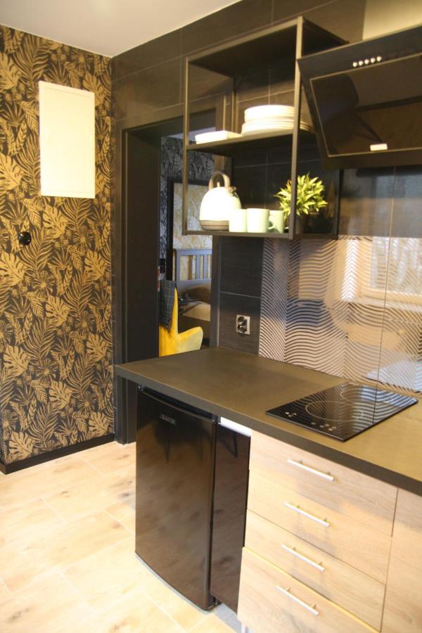 Apartament Dla Pary Stara Szkola Weremowice Exterior photo